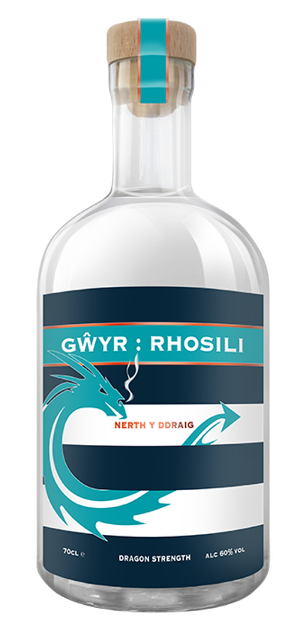 GWYR Rhosili Gin - Dragon Strength