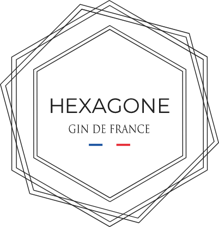 Hexagone Gin Logo
