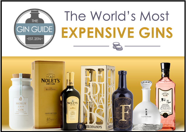 Most Expensive Gins
