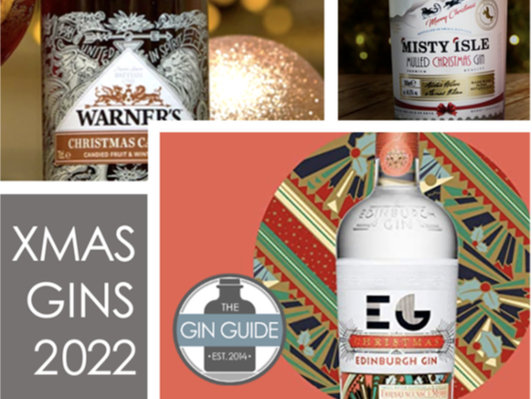 Best Christmas Gins 2020