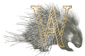 Wild Atlantic Distillery Logo
